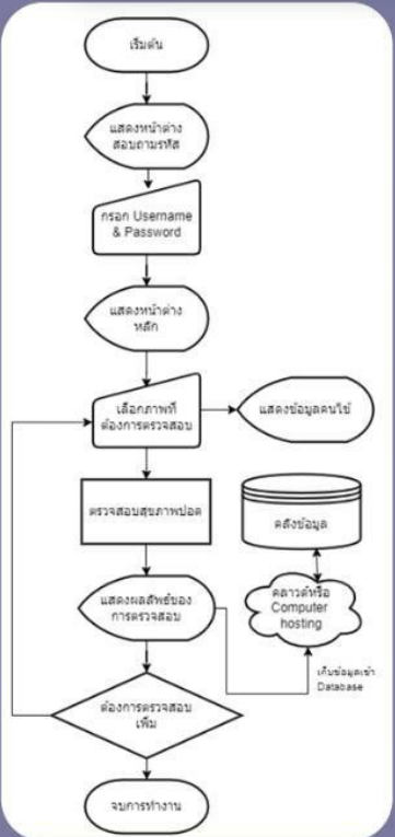 รูปโปรเจกต์ 1 รูปที่ 1